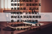 武汉SEO网站推广公司哪家好？深度解析五大优质选择，武汉SEO网站推广公司排名，揭秘五大顶尖服务提供商，武汉SEO网站推广公司排名揭秘，五大顶尖服务提供商深度解析