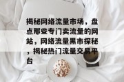 揭秘网络流量市场，盘点那些专门卖流量的网站，网络流量黑市探秘，揭秘热门流量交易平台
