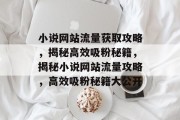小说网站流量获取攻略，揭秘高效吸粉秘籍，揭秘小说网站流量攻略，高效吸粉秘籍大公开