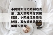 小网站如何巧妙制造流量，五大策略助你突破瓶颈，小网站流量倍增秘籍，五大策略助你突破增长瓶颈