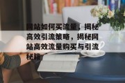 网站如何买流量，揭秘高效引流策略，揭秘网站高效流量购买与引流秘籍