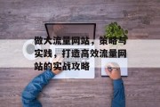 做大流量网站，策略与实践，打造高效流量网站的实战攻略
