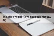 怎么提升千牛流量（千牛怎么提高淘宝店铺人气）