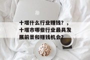 十堰什么行业赚钱？，十堰市哪些行业最具发展前景和赚钱机会？