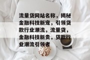 流量贷网站名称，揭秘金融科技新宠，引领贷款行业潮流，流量贷，金融科技新贵，贷款行业潮流引领者