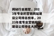 揭秘行业翘楚，2023年专业的营销网站建设公司排名榜单，2023年度专业营销网站建设公司排名大揭秘