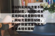 揭秘购买网站流量不限量的秘密，如何低成本实现网站流量翻倍增长，网站流量翻倍秘籍，揭秘不限量流量购买与低成本增长策略
