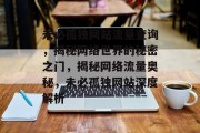 未必孤独网站流量查询，揭秘网络世界的秘密之门，揭秘网络流量奥秘，未必孤独网站深度解析