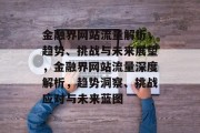 金融界网站流量解析，趋势、挑战与未来展望，金融界网站流量深度解析，趋势洞察、挑战应对与未来蓝图