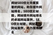 揭秘SEO优化效果显著的网站，助你提升网站排名，SEO优化秘籍，揭秘提升网站排名的卓越网站案例，SEO优化秘籍，揭秘高效网站案例，助力提升排名