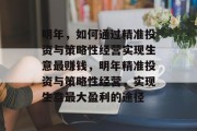 明年，如何通过精准投资与策略性经营实现生意最赚钱，明年精准投资与策略性经营，实现生意最大盈利的途径