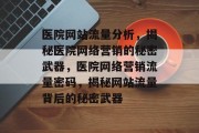 医院网站流量分析，揭秘医院网络营销的秘密武器，医院网络营销流量密码，揭秘网站流量背后的秘密武器