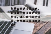 免费查网站流量攻略，教你轻松掌握网站流量数据，轻松掌控网站流量，免费查流量攻略全解析