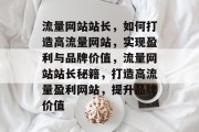 流量网站站长，如何打造高流量网站，实现盈利与品牌价值，流量网站站长秘籍，打造高流量盈利网站，提升品牌价值