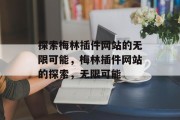 探索梅林插件网站的无限可能，梅林插件网站的探索，无限可能