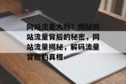 网站流量大吗？揭秘网站流量背后的秘密，网站流量揭秘，解码流量背后的真相