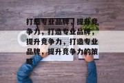 打造专业品牌，提升竞争力，打造专业品牌，提升竞争力，打造专业品牌，提升竞争力的策略