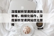 深度解析甘肃网站优化策略，精细化操作，深度解析甘肃网站优化策略
