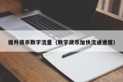 提升货币数字流量（数字货币加快流通速度）