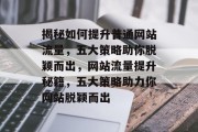 揭秘如何提升普通网站流量，五大策略助你脱颖而出，网站流量提升秘籍，五大策略助力你网站脱颖而出