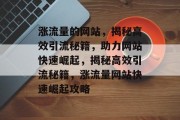 涨流量的网站，揭秘高效引流秘籍，助力网站快速崛起，揭秘高效引流秘籍，涨流量网站快速崛起攻略