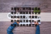 流量宝，助力网站流量增长，揭秘其是否会消耗网站流量，流量宝，助力网站流量增长，揭秘是否消耗流量之谜
