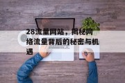 28流量网站，揭秘网络流量背后的秘密与机遇