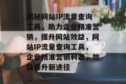 揭秘网站IP流量查询工具，助力企业精准营销，提升网站效益，网站IP流量查询工具，企业精准营销利器，效益提升新途径