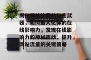 揭秘网站流量的秘密武器，如何最大化你的在线影响力，发现在线影响力的神秘面纱，提升网站流量的关键策略