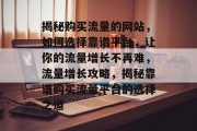 揭秘购买流量的网站，如何选择靠谱平台，让你的流量增长不再难，流量增长攻略，揭秘靠谱购买流量平台的选择之道