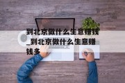到北京做什么生意赚钱_到北京做什么生意赚钱多