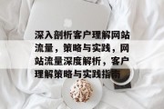 深入剖析客户理解网站流量，策略与实践，网站流量深度解析，客户理解策略与实践指南