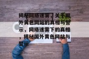 揭秘网络迷雾，关于国外黄色网站的真相与警示，网络迷雾下的真相，揭秘国外黄色网站与警示