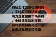 揭秘全球流量检测网站，实时监控网络动态，助力企业把握市场脉搏，全球流量监测秘籍，实时洞察网络动态，企业市场脉搏掌控指南