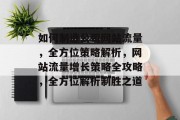 如何制造公司网站流量，全方位策略解析，网站流量增长策略全攻略，全方位解析制胜之道