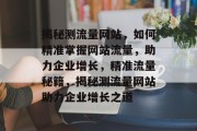 揭秘测流量网站，如何精准掌握网站流量，助力企业增长，精准流量秘籍，揭秘测流量网站助力企业增长之道