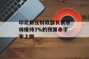 印尼新任财政部长表示将维持3%的预算赤字率上限