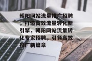 朝阳网站流量推广招聘，打造高效流量转化新引擎，朝阳网站流量转化专家招聘，引领高效推广新篇章