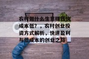 农村做什么生意赚钱快成本低?,农村创业投资方式解析,快速盈利与低成本的创业之路