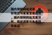 国内视频网站流量，解析现状与未来发展趋势，国内视频网站流量分析，现状洞察与未来趋势展望