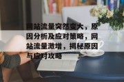 网站流量突然变大，原因分析及应对策略，网站流量激增，揭秘原因与应对攻略