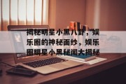 揭秘明星小黑八卦，娱乐圈的神秘面纱，娱乐圈明星小黑秘闻大揭秘