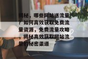 揭秘，哪些网站送流量？如何高效获取免费流量资源，免费流量攻略，揭秘高效获取网站流量的秘密渠道
