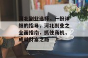 河北副业选择，一份详细的指导，河北副业之全面指南，抓住商机，成就财富之路