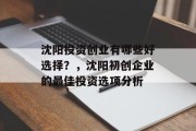 沈阳投资创业有哪些好选择?,沈阳初创企业的最佳投资选项分析