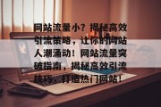网站流量小？揭秘高效引流策略，让你的网站人潮涌动！网站流量突破指南，揭秘高效引流技巧，打造热门网站！