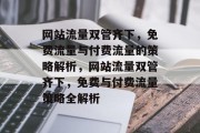 网站流量双管齐下，免费流量与付费流量的策略解析，网站流量双管齐下，免费与付费流量策略全解析