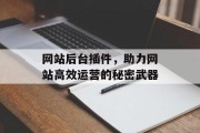 网站后台插件，助力网站高效运营的秘密武器