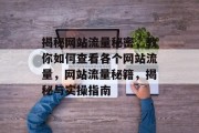 揭秘网站流量秘密，教你如何查看各个网站流量，网站流量秘籍，揭秘与实操指南