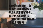 SEO策略新视角，如何有效利用网站两个IP优化搜索引擎排名，双IP网站SEO优化，揭秘提升搜索引擎排名的全新策略